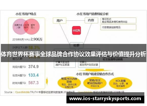 体育世界杯赛事全球品牌合作协议效果评估与价值提升分析