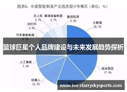 篮球巨星个人品牌建设与未来发展趋势探析