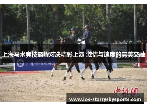 上海马术竞技巅峰对决精彩上演 激情与速度的完美交融