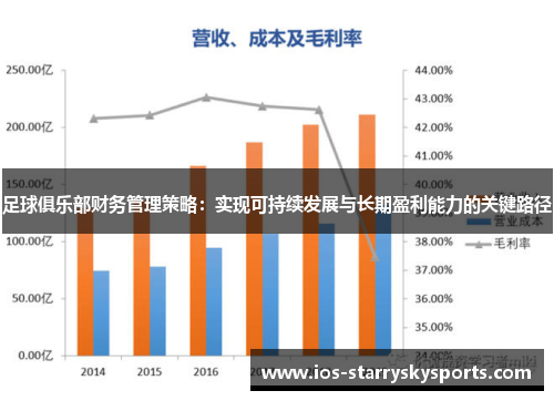 足球俱乐部财务管理策略：实现可持续发展与长期盈利能力的关键路径