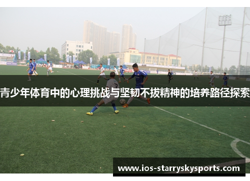 青少年体育中的心理挑战与坚韧不拔精神的培养路径探索