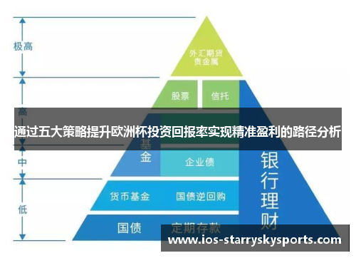 通过五大策略提升欧洲杯投资回报率实现精准盈利的路径分析