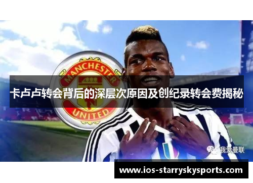 卡卢卢转会背后的深层次原因及创纪录转会费揭秘