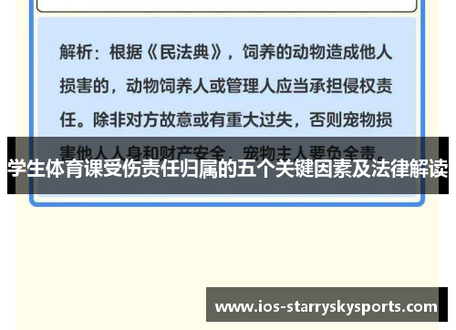 学生体育课受伤责任归属的五个关键因素及法律解读
