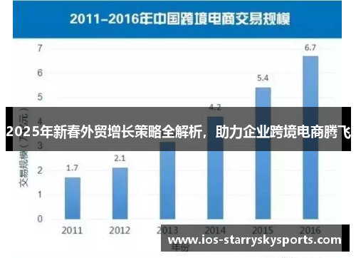 2025年新春外贸增长策略全解析，助力企业跨境电商腾飞