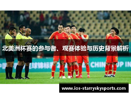 北美洲杯赛的参与者、观赛体验与历史背景解析